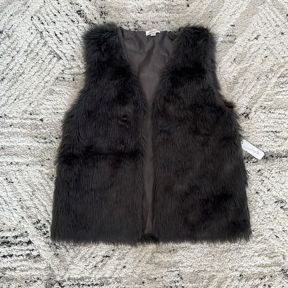 Faux Fur Gray Vest from Charming Charlie - Picture 2 of 8